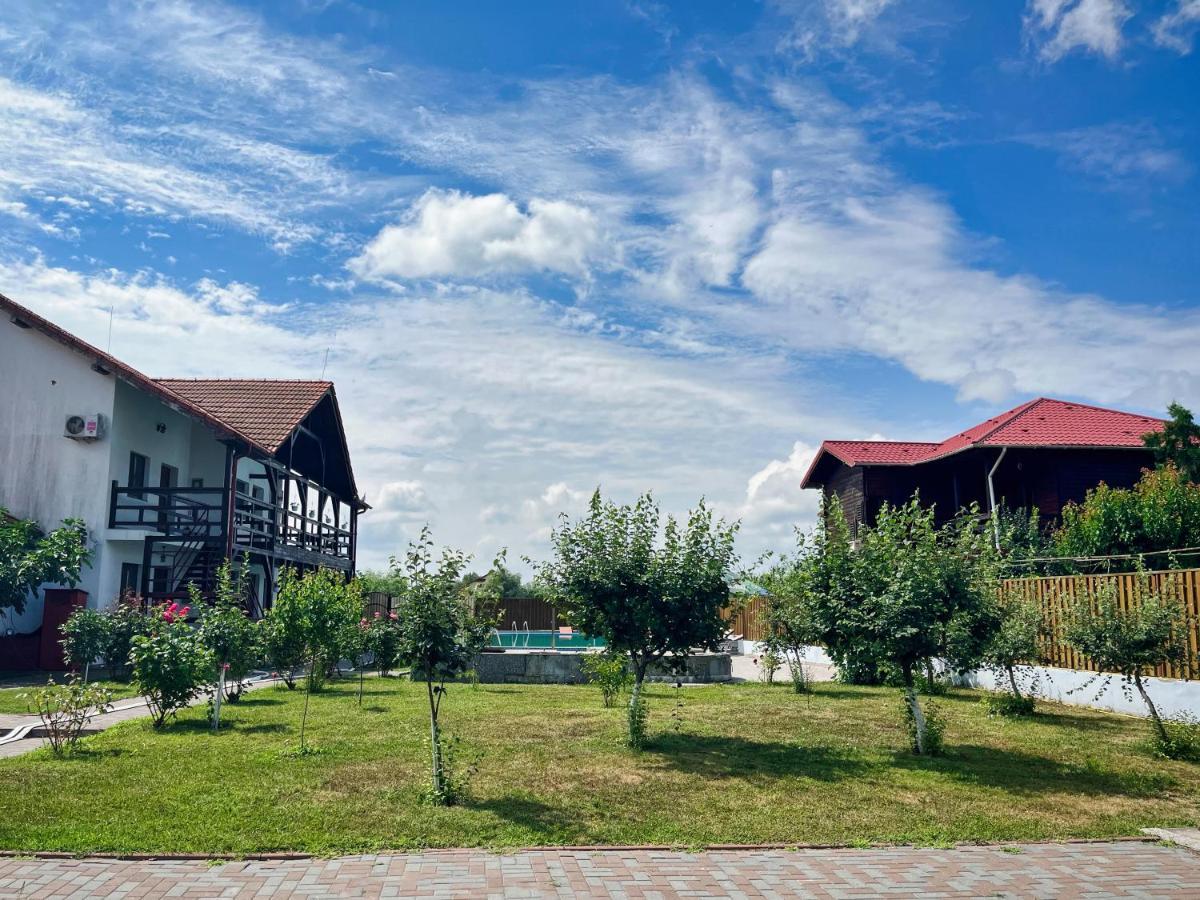 Pensiunea Crisan Ngoại thất bức ảnh